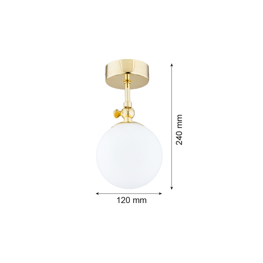 Argon 4001 - Nadgradni luster za kupatilo LATINA 1xE14/40W/230V IP44