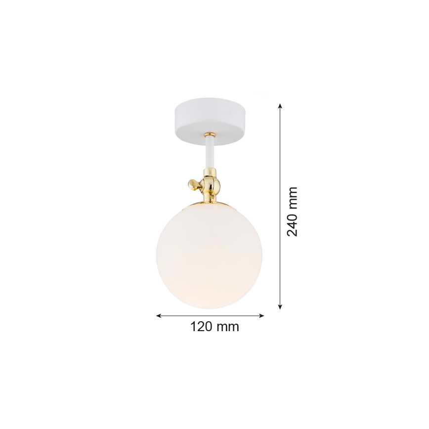 Argon 4002 - Nadgradni luster za kupatilo LATINA 1xE14/7W/230V IP44 beli/zlatna