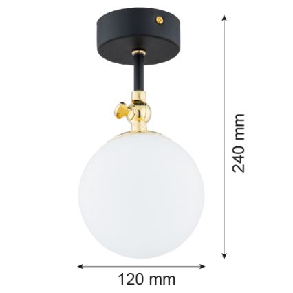 Argon 4003 - Nadgradni luster za kupatilo LATINA 1xE14/7W/230V IP44 crno/mesing