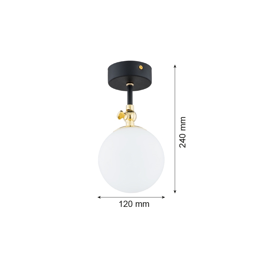 Argon 4003 - Nadgradni luster za kupatilo LATINA 1xE14/7W/230V IP44 crno/mesing