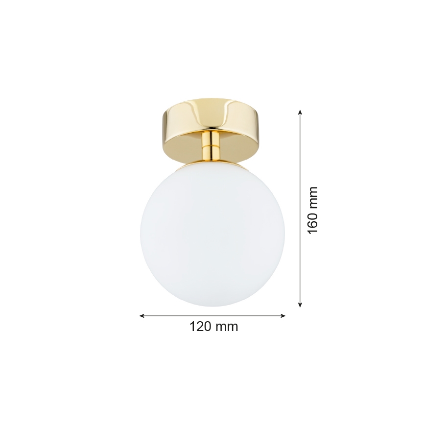 Argon 4004 - Stropna svjetiljka za kupaonicu FLAVIO 1xE14/7W/230V IP44