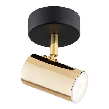 Argon 4208 - Reflektorska plafonjera LAGOS 1xGU10/5W/230V mesing/crno