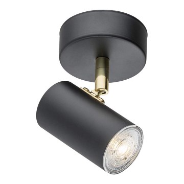 Argon 4210 - Reflektorska plafonjera LAGOS 1xGU10/5W/230V crno/mesing