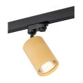 Argon 4304 - Reflektor za šinski sistem BERGEN 1xE27/15W/230V zlatni