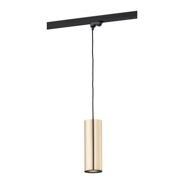 Argon 4318 - Luster na sajli za šinski sastav DELF 1xE27/15W/230V mesing
