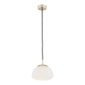 Argon 4352 - Luster na kablu TRINI 1xE27/15W/230V, Ø 20 cm, zlatni