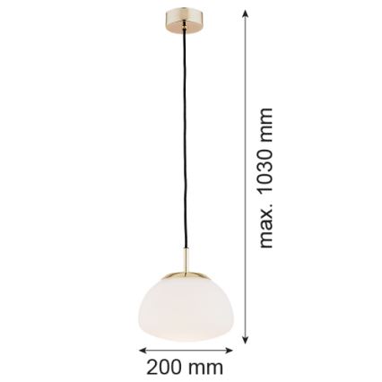 Argon 4352 - Luster na kablu TRINI 1xE27/15W/230V, Ø 20 cm, zlatni