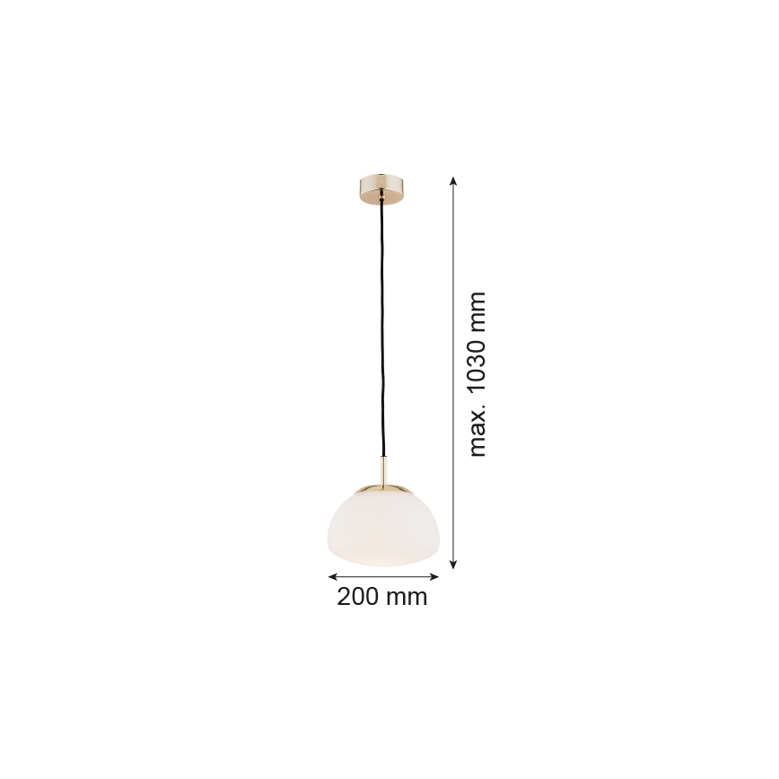 Argon 4352 - Luster na kablu TRINI 1xE27/15W/230V, Ø 20 cm, zlatni