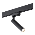 Argon 4355 - LED spot za šinski sistem ELBRUS LED/4,5W/230V crna
