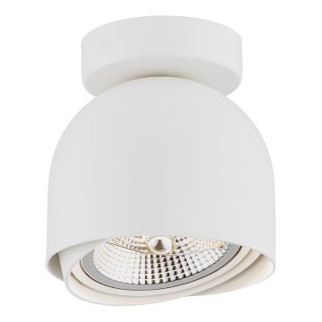 Argon 4710 - Reflektorska lampa GARLAND 1xGU10-AR111/12W/230V beli