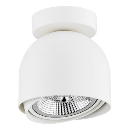 Argon 4710 - Reflektorska lampa GARLAND 1xGU10-AR111/12W/230V beli