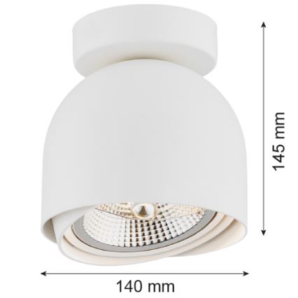 Argon 4710 - Reflektorska lampa GARLAND 1xGU10-AR111/12W/230V beli