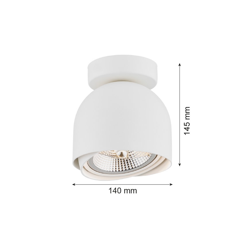 Argon 4710 - Reflektorska lampa GARLAND 1xGU10-AR111/12W/230V beli