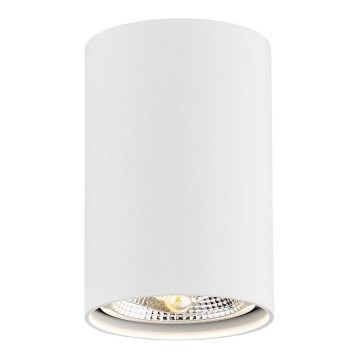 Argon 4910 - Reflektorska lampa TUBO AR111 1xGU10/15W/230V beli