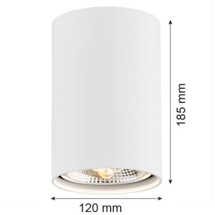 Argon 4910 - Reflektorska lampa TUBO AR111 1xGU10/15W/230V beli