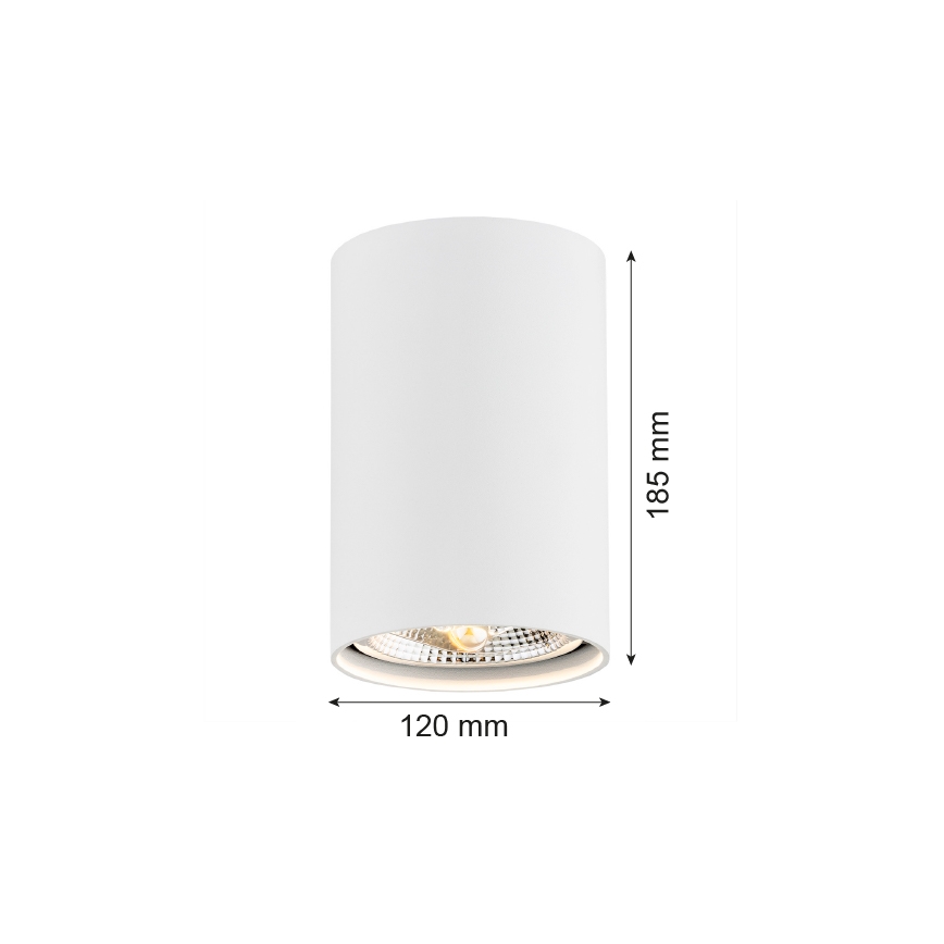 Argon 4910 - Reflektorska lampa TUBO AR111 1xGU10/15W/230V beli