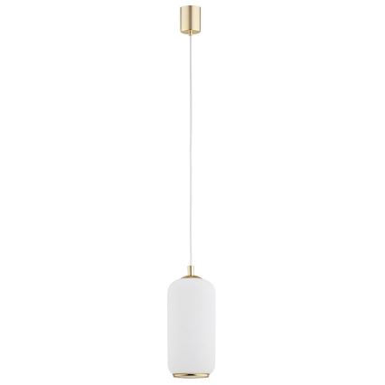 Argon 4993 - Luster na sajli PALLADO 1xE27/15W/230V zlatna/beli