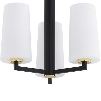 Argon 6143 - Viseći luster CAMELOT PLUS 3xE27/15W/230V crno/beli/zlatna