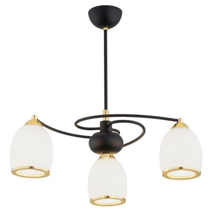 Argon 6144 - Viseći luster AVILA PLUS 3xE27/15W/230V crno/zlatna/beli