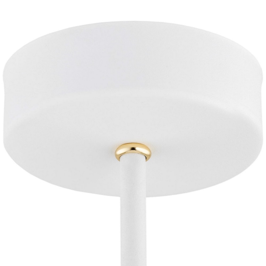 Argon 6148 - Viseći luster CHARLOTTE 3xE27/15W/230V beli/zlatna