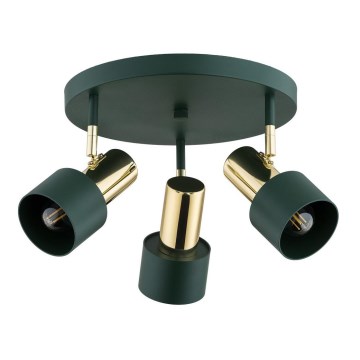 Argon 6196 - Reflektorska lampa DORIA 3xE27/15W/230V zelena/mesing