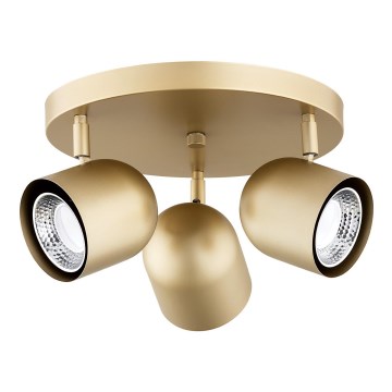 Argon 6249 - Reflektorska lampa ISOLA 3xGU10/5W/230V