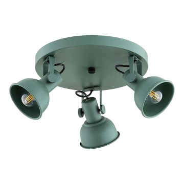 Argon 6265 - Reflektorska lampa LENORA 3xE14/7W/230V zelena