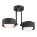 Argon 7089 - Luster na šipci MASSIMO PLUS 2xG9/6W/230V crna
