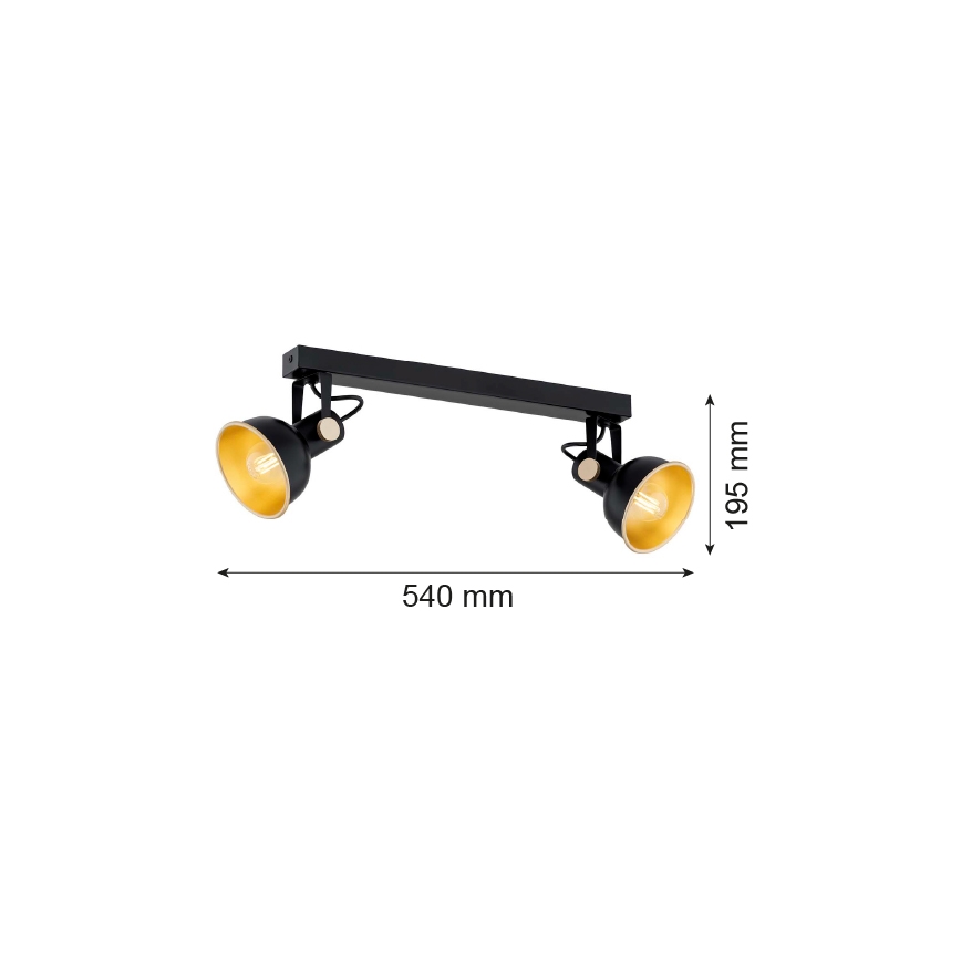 Argon 7142 - Spot svetiljka LENORA 2xE14/7W/230V crna
