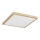 Argon 7167 - Plafonjera CARLSON 2xE27/15W/230V 29x29 cm zlatna