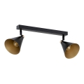 Argon 7170 - Reflektorska lampa LUCINDA 2xE14/7W/230V crno