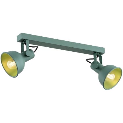 Argon 7174 - Reflektorska lampa LENORA 2xE14/7W/230V zelena