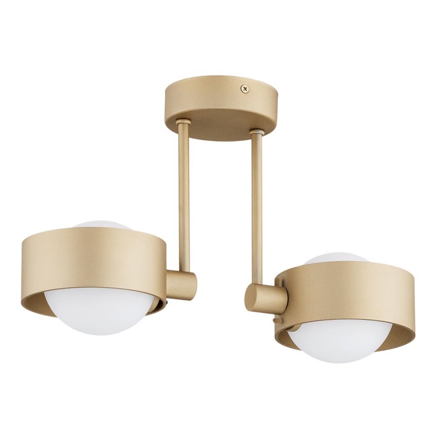 Argon 7215 - Luster za kupatilo na šipci MASSIMO PLUS 2xG9/6W/230V IP44 zlatna