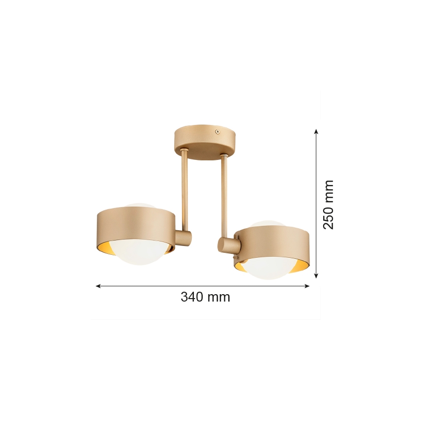 Argon 7215 - Luster za kupatilo na šipci MASSIMO PLUS 2xG9/6W/230V IP44 zlatna