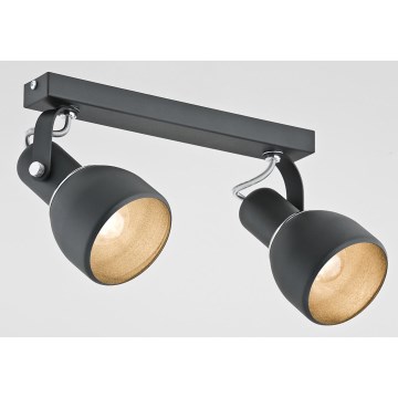 Argon 762 - Reflektorska lampa FOGO 2xE27/15W/230V