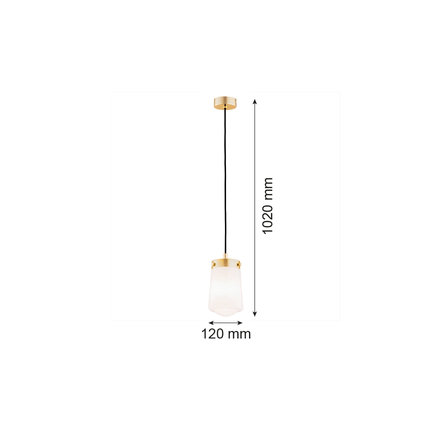 Argon 8004 - Luster na sajli PASADENA 1xE27/15W/230V zlatna/beli