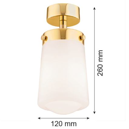 Argon 8005 - Přisazený luster PASADENA 1xE27/15W/230V zlatna/beli