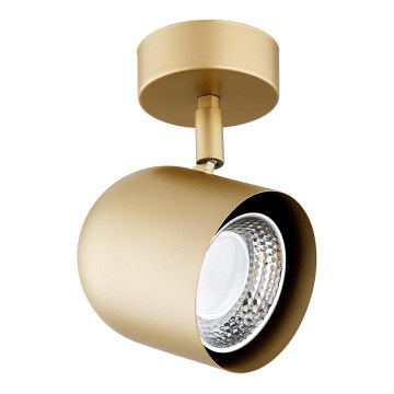 Argon 8260 - Reflektorska lampa ISOLA 1xGU10/5W/230V