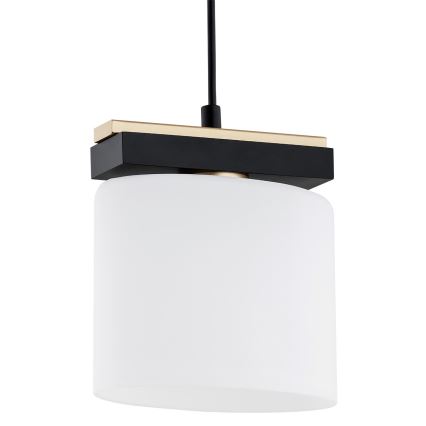 Argon 8276 - Luster na sajli CANOA 1xE27/15W/230V crno