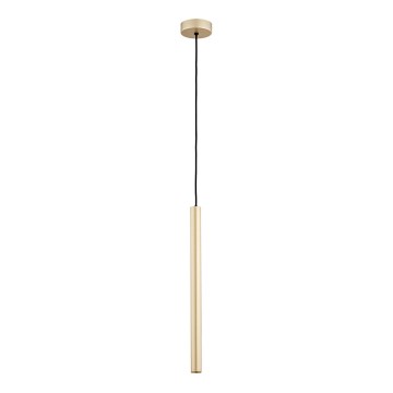 Argon 8327 - LED luster na sajli RIO LED/4,2W/230V 3000K zlatna