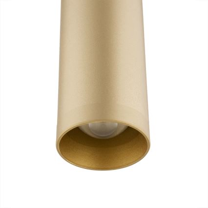 Argon 8327 - LED luster na sajli RIO LED/4,2W/230V 3000K zlatna