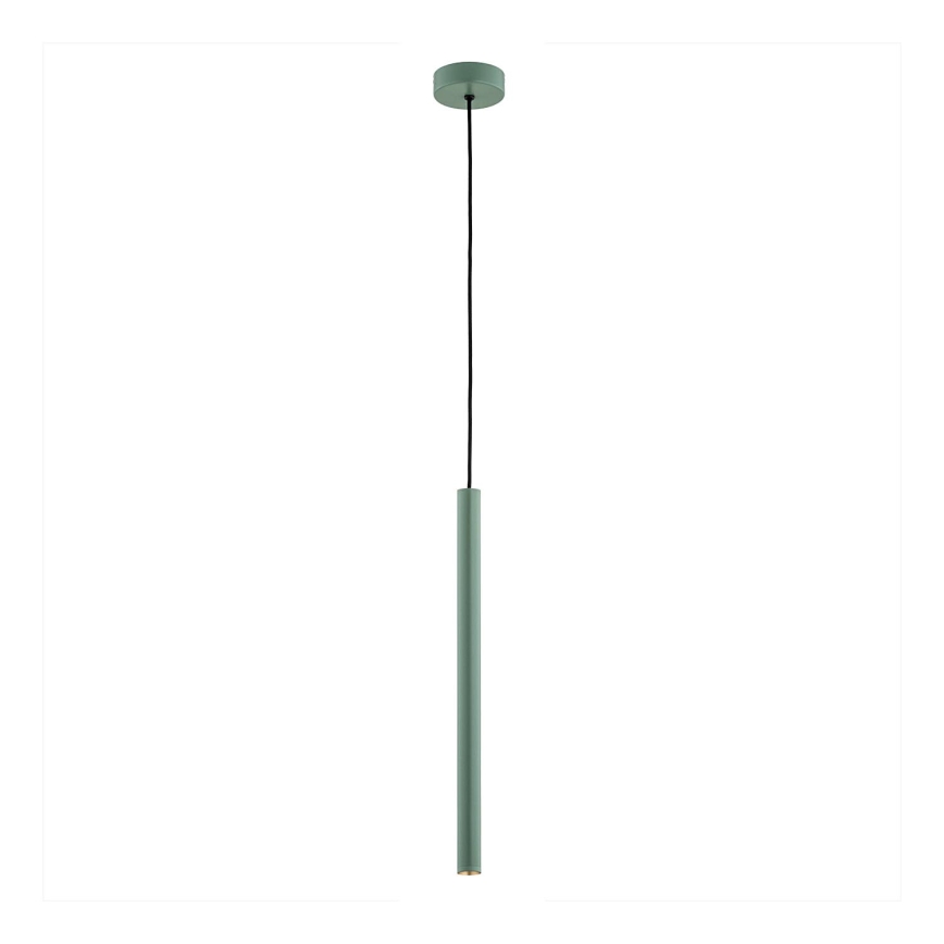 Argon 8333 - LED luster na sajli RIO LED/4,2W/230V 3000K zelena