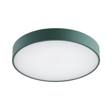 Argon 8335 - LED Plafonjera TIAMO LED/22W/230V 4000K zelena