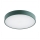 Argon 8335 - LED stropno svetlo TIAMO LED/22W/230V 4000K zelena