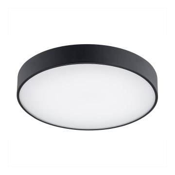 Argon 8348 - LED plafonsko svetlo TIAMO LED/22W/230V 4000K crno