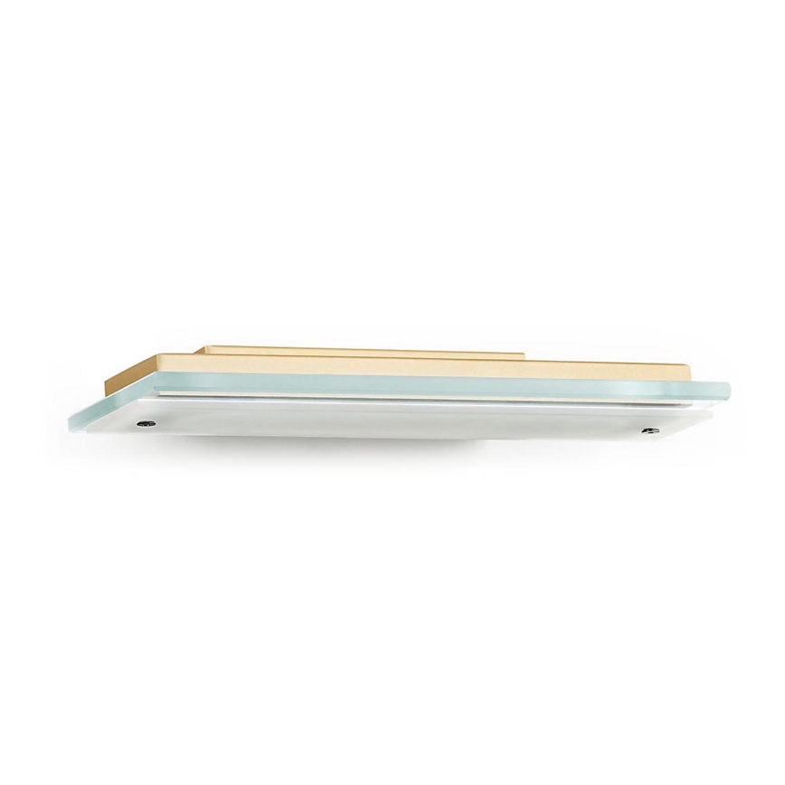 Argon 8363 - LED Zidna lampa VELO LED/7,2W/230V 3000K zlatna/prozirna
