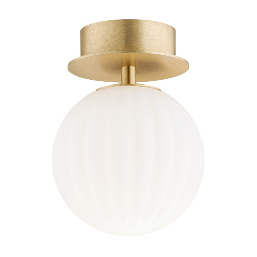 Argon 8504 - Zidna lampa PALOMA 1xE14/7W/230V zlatna/beli