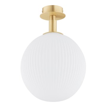 Argon 8505 - Plafonjera PALOMA 1xE27/15W/230V zlatna/beli