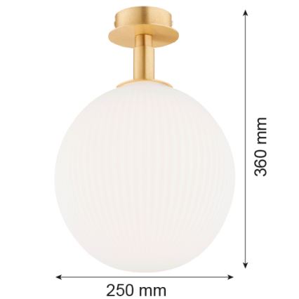 Argon 8505 - Plafonjera PALOMA 1xE27/15W/230V zlatna/beli
