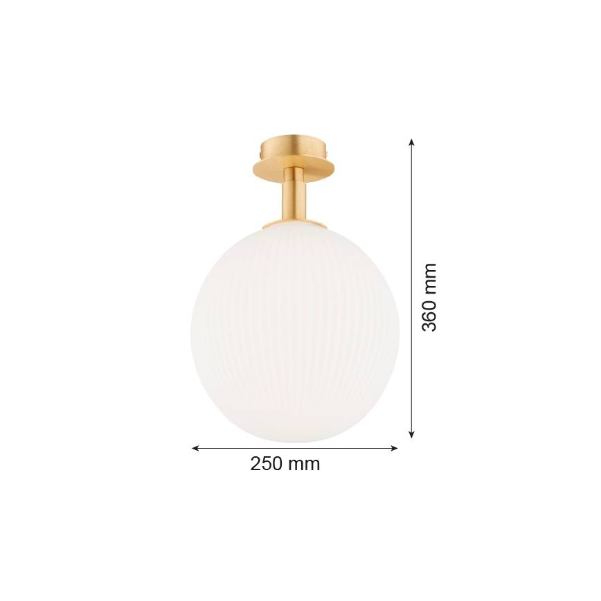 Argon 8505 - Plafonjera PALOMA 1xE27/15W/230V zlatna/beli